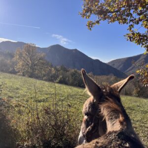 Soggiorno in agriturismo e trekking