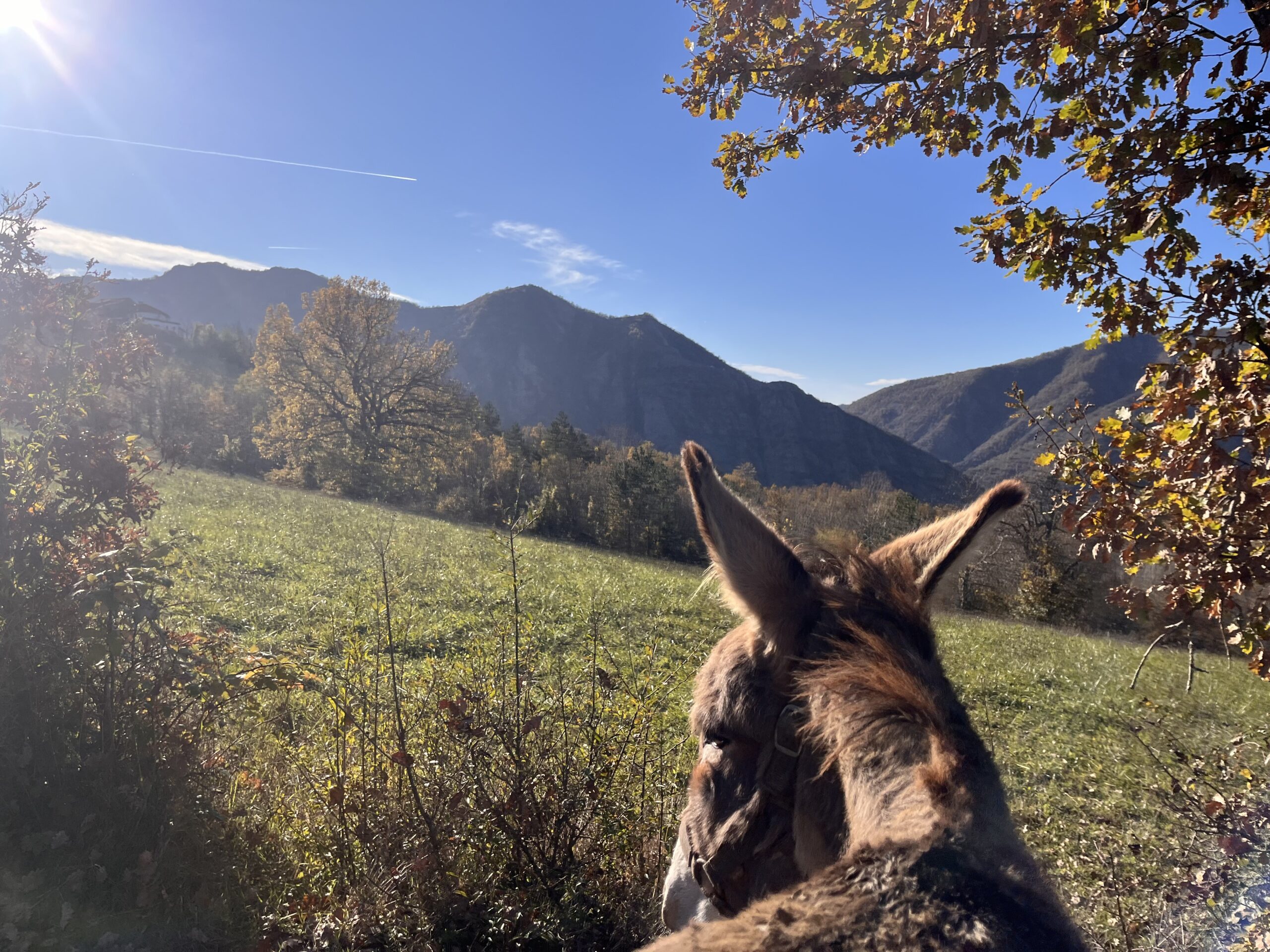 Soggiorno in agriturismo e trekking